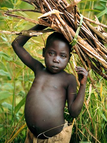 Collecting firewood, Kajo Keji County, Southern Sudan